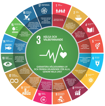 WHO:s globala mål 3 innefattar 17 faktorer.